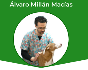 mejores veterinarios de España