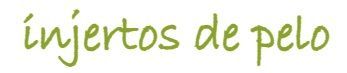 Logo de Foro-injertodepelo.com