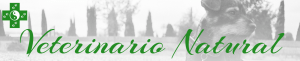 mejores consultas veterinarias online