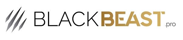 BlackBeast Agencia SEO