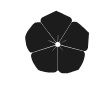Takashi Ochiai