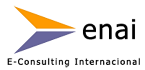 E-Consulting Internacional