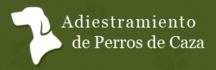 Adiestramiento de perros