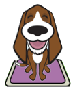 Cuido tu Mascota residencia Madrid