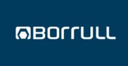 Borrul
