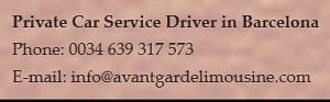 Private Car Service Barcelona Driver