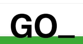 Go Informàtica