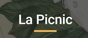 La Picnic