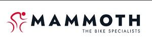 Mammoth Bikes es de las mejores tiendas de bicicletas en Barcelona