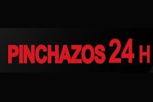 Taller Pinchazos, logo
