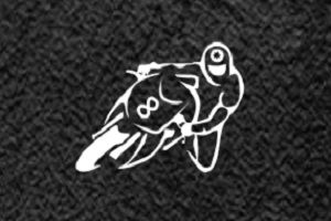Transmarán, logo